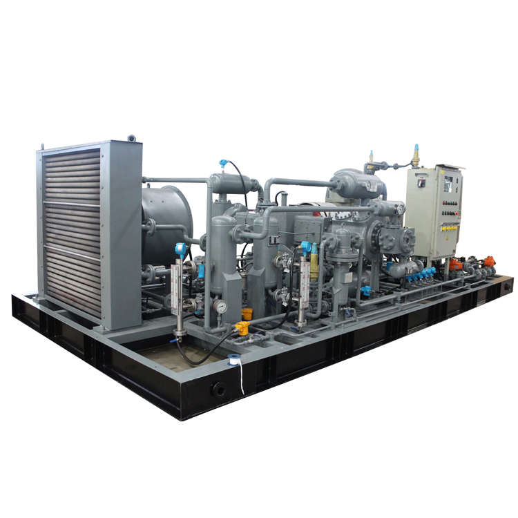 DWFD-2.8/(2-10)-55天然氣壓縮機